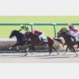 中山で半馬身差押し切った