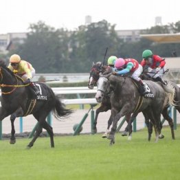 【新居の土曜競馬コラム・ステイヤーズＳ】