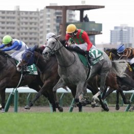 【大谷の土曜競馬コラム・チャレンジＣ】