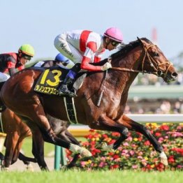 【武田の土曜競馬コラム・チャレンジＣ】