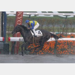 不良馬場の前走でも圧勝