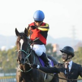 【阪神ジュベナイルＦ】史上初の外国馬メイデイレディが参戦