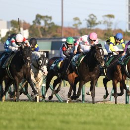 【中日新聞杯】人気、伏兵問わず４歳勢を要チェック