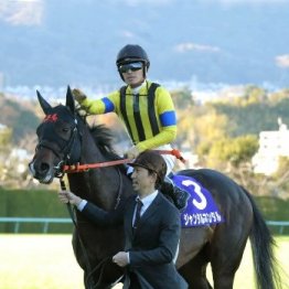 【朝日杯フューチュリティＳ】前５年で４勝　今年も２戦無敗馬が中心