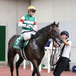 【朝日杯フューチュリティＳ】トータルクラリティ魅力たっぷり