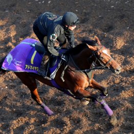 【朝日杯フューチュリティＳ】調教マル得チェック①