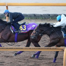 【有馬記念１週前】馬任せで１Ｆ１１秒０！ ドウデュース、現役最強馬らしい完璧な調整