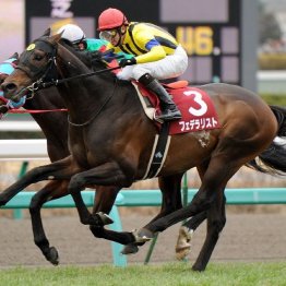 〈107〉ＪＲＡの元厩務員で今も競馬に携わっている池田充孔さん（３）