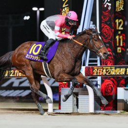 【全日本２歳優駿】牝馬ミリアッドラヴ３連勝