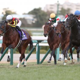 【朝日杯フューチュリティＳ】データ作戦　今年も白帽子を狙え