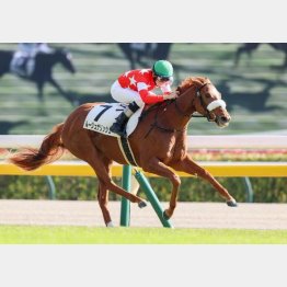 新馬戦は逃げ切り