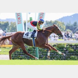 好内容で新馬勝ち