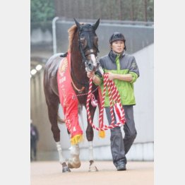 サウジアラビアＲＣで重賞勝ち