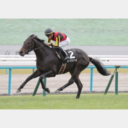 前走の黄菊賞は３馬身差V