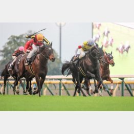 前走で３勝クラスを卒業した