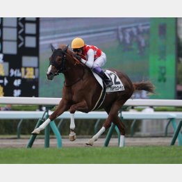 レジェンドの手綱で新馬勝ち