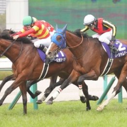 【有馬記念】ドウデュース以外にも今年の古馬中長距離ＧⅠ勝ち馬がズラリ