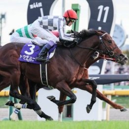 【有馬記念】ドウデュース最高潮で迎えるラストラン