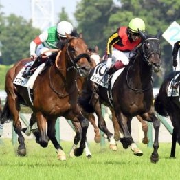 【有馬記念】父サンデーサイレンスに並ぶ大記録へ　三本の矢で挑むディープインパクト産駒