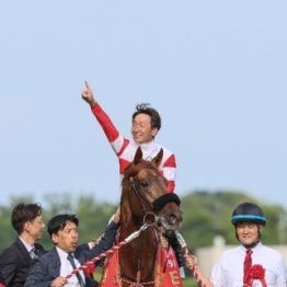 【有馬記念】ダノンデサイル能力全開　菊の鬱憤を晴らす