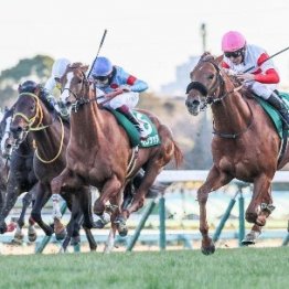 【有馬記念】ダノンデサイル能力全開　菊の鬱憤を晴らす