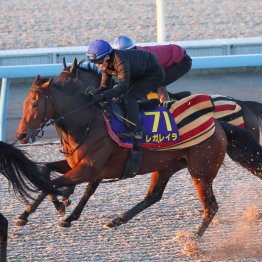 【有馬記念】調教マル得チェック②