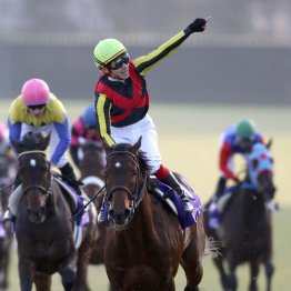 【有馬記念】相関性が高い宝塚記念勝ち馬