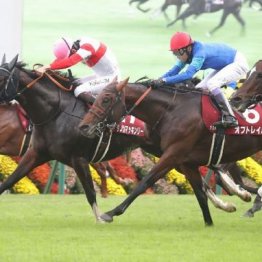 【マリナの土曜競馬コラム・阪神Ｃ】