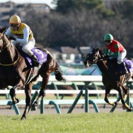 【飯島の土曜競馬コラム・中山大障害】