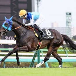 【新居の土曜競馬コラム・グレイトフルＳ】