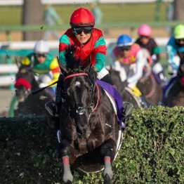 【木津の土曜競馬コラム・中山大障害】