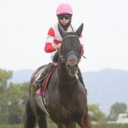 【武田の土曜競馬コラム・阪神Ｃ】