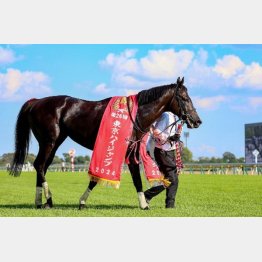 東京ハイジャンプで重賞連勝