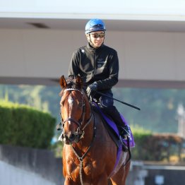 【有馬記念】秋２冠ドウデュース、右前肢跛行でラストラン直前に出走取消 「ファンの皆様に申し訳ない。謝りたい気持ちだけです」（友道調教師）