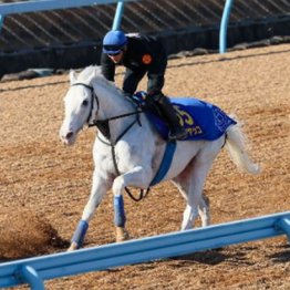 【木津の日曜競馬コラム・有馬記念】