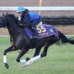 【有馬記念】シャフリヤール最初から本命も馬券は３連複ＢＯＸ