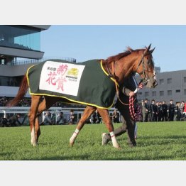 大きな成長で菊花賞馬に