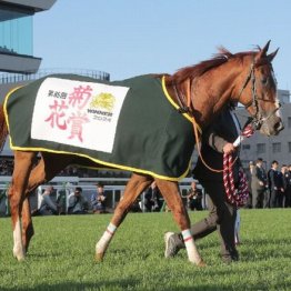 【有馬記念】アーバンシック　スローペース必至で菊再現のロングスパート