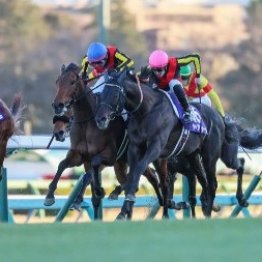 【有馬記念】売り上げは前年比増の５５０億円