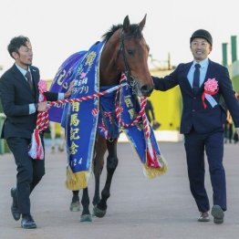 【有馬記念】ハーツ後継争いはスワーヴリチャード対ドウデュースか