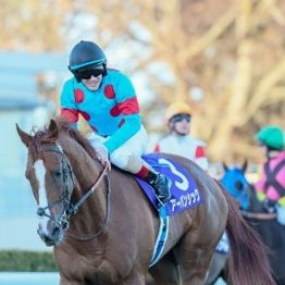 【有馬記念】同じ３歳のダービー馬が③着なら菊花賞馬は⑥着まで