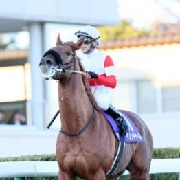 【有馬記念】同じ３歳のダービー馬が③着なら菊花賞馬は⑥着まで