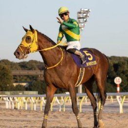 【東京大賞典】ブリンカー効果あり　ウシュバテソーロ今年も決める