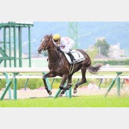 超抜ラップで新馬Ⅴ