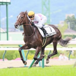 【新谷の土曜競馬コラム・ホープフルＳ】