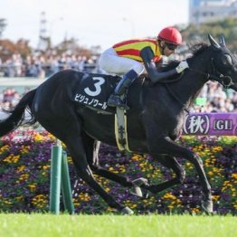 【レスキュー隊の日曜競馬コラム・中山12Ｒ】