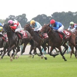 2025年は大変革の年に　ＪＲＡの競馬はこんなにも変わる②