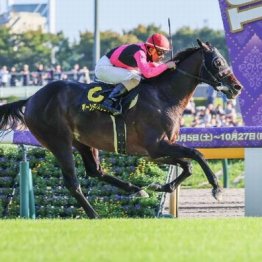 【市川の日曜競馬コラム・中山金杯】