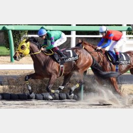 鎌ケ谷特別で２勝クラスを卒業