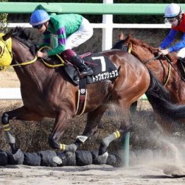 【飯島の日曜競馬コラム・招福Ｓ】